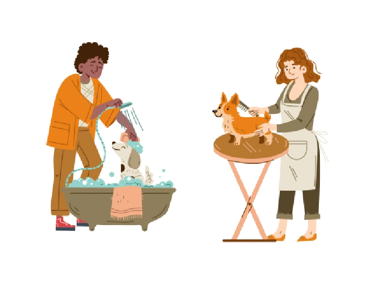 Imagem JPG, Indisponivel